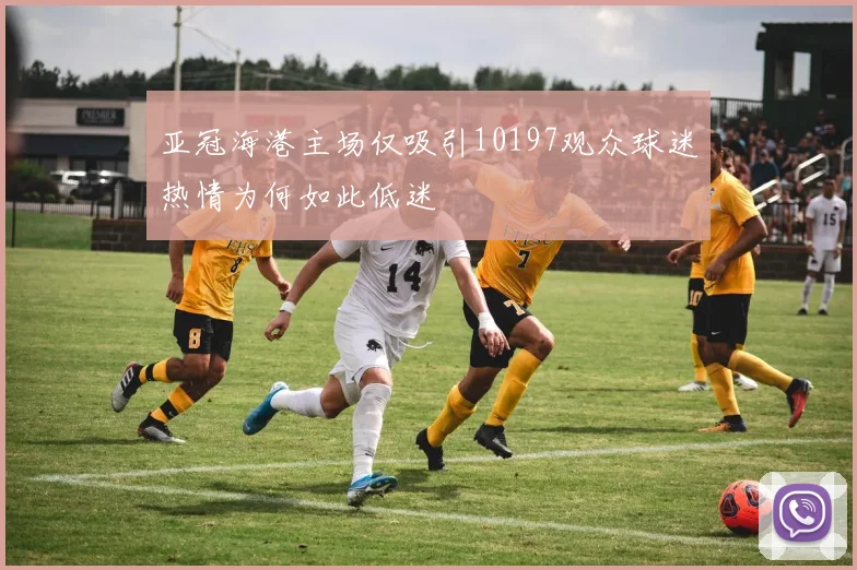 亚冠海港主场仅吸引10197观众球迷热情为何如此低迷