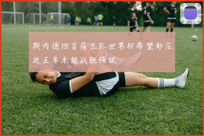 斯内德坦言荷兰队世界杯希望渺茫近五年未能战胜强敌